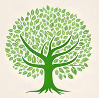 Ifyakubomfya ifya Everwood